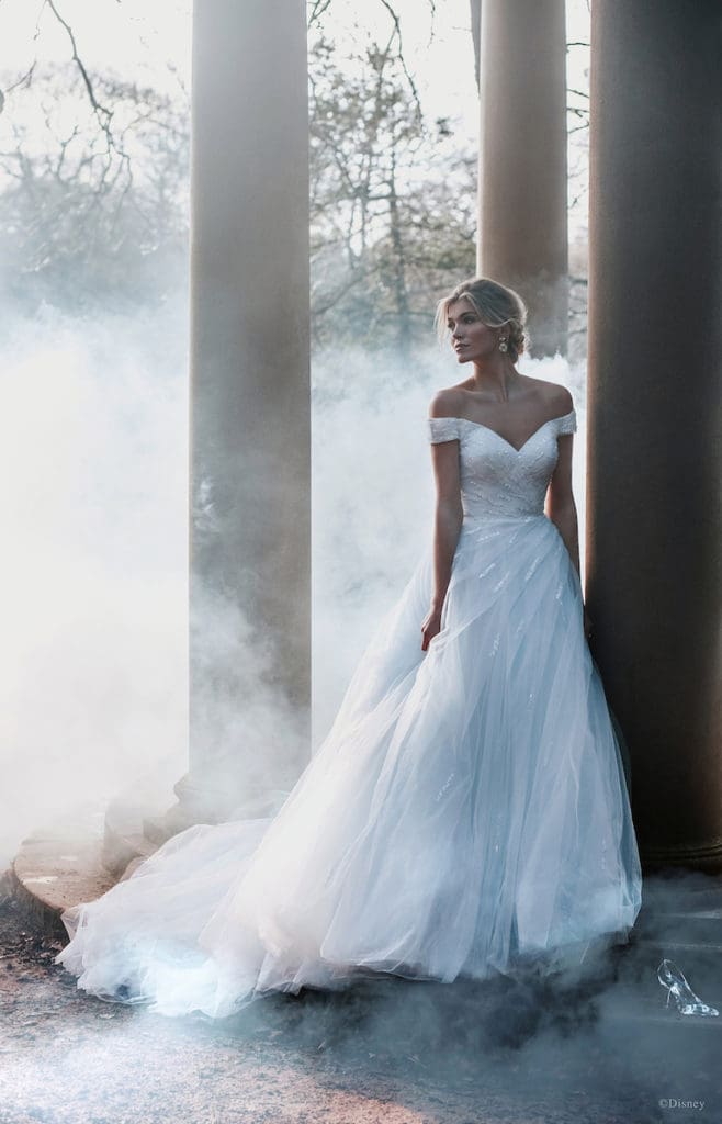 Cinderella inspired wedding gown